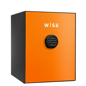WS500  