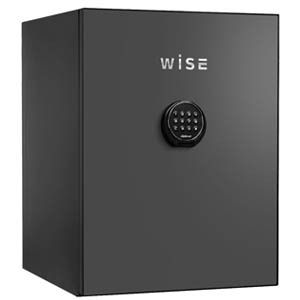 WiSE 系列